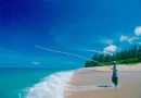 Beaches & Islands