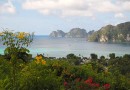 Phi Phi Island